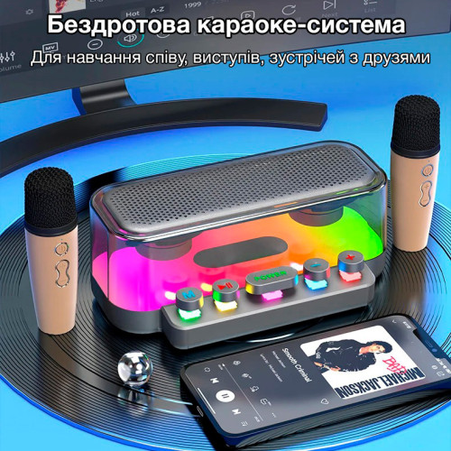 Бездротова портативна Bluetooth колонка з караоке-системою на 2 мікрофони EVIO LR Z6 (Чорний)