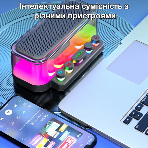 Бездротова портативна Bluetooth колонка з караоке-системою на 2 мікрофони EVIO LR Z6 (Чорний)