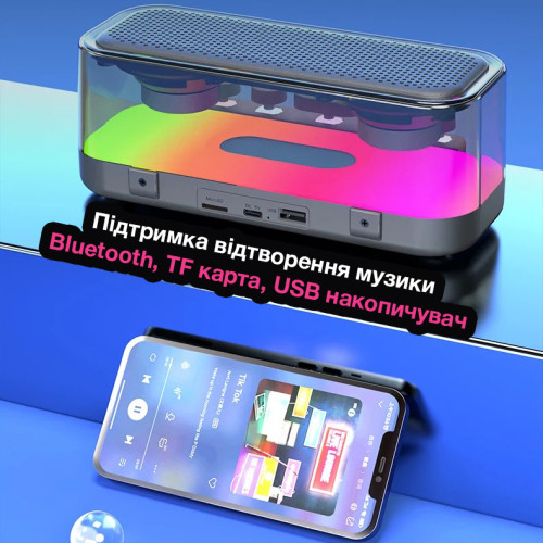 Бездротова портативна Bluetooth колонка з караоке-системою на 2 мікрофони EVIO LR Z6 (Чорний)