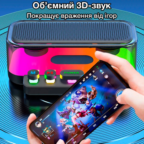 Бездротова портативна Bluetooth колонка з караоке-системою на 2 мікрофони EVIO LR Z6 (Чорний)
