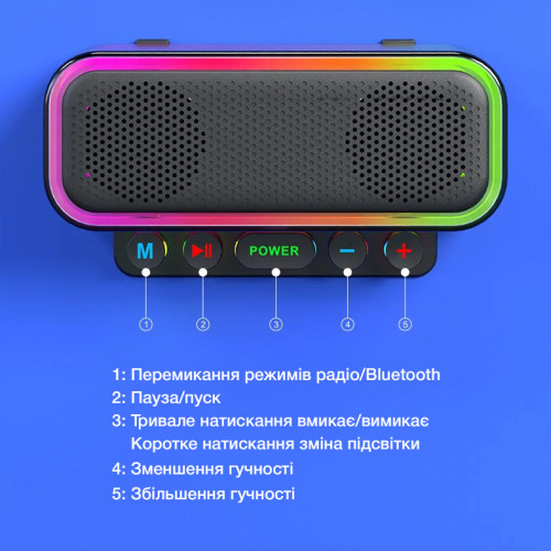Бездротова портативна Bluetooth колонка з караоке-системою на 2 мікрофони EVIO LR Z6 (Чорний)