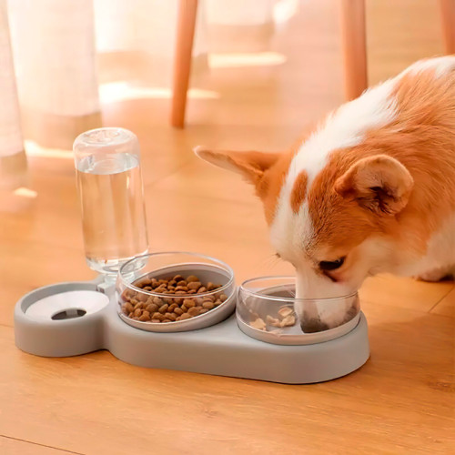 Миска 3 в 1 для котів і собак з вбудованою поїлкою PetCare 500 мл Сірий 