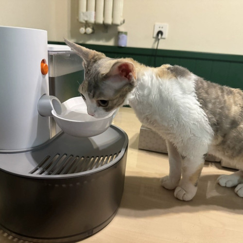 Автоматична поїлка-фонтан для котів і собак PetGravity 3л