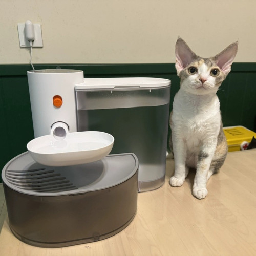 Автоматична поїлка-фонтан для котів і собак PetGravity 3л